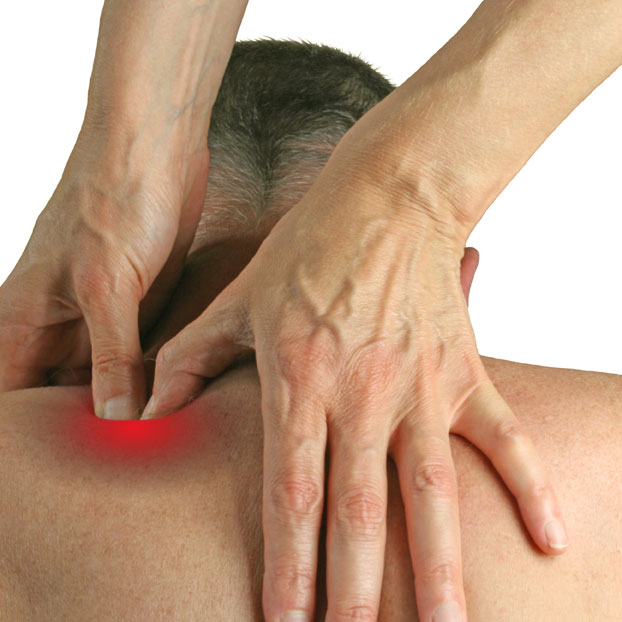 trigger-point-theory-bingham-osteopath